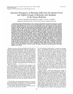Ancestral Divergence of Rickettsia beZlii from the Spotted Fever and