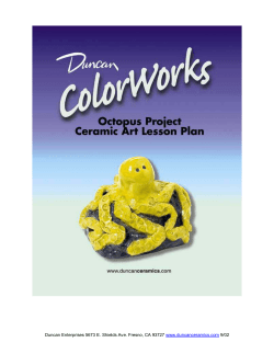 Complete Lesson Plan Octopus