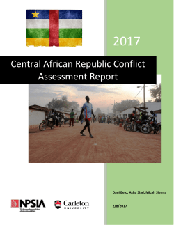 Central African Republic Conflict Assessment Report