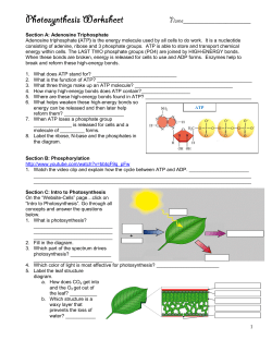 File - Science is Forever