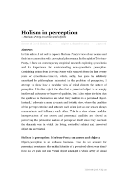 Holism in perception