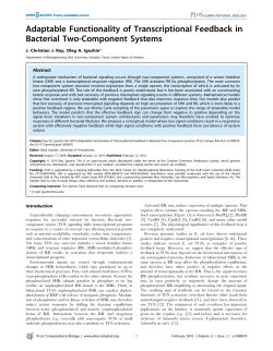 Adaptable Functionality of Transcriptional Feedback in