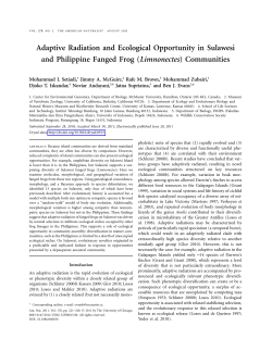 Adaptive Radiation and Ecological Opportunity in Sulawesi and