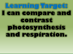 Learning Target: I can compare and contrast photosynthesis and