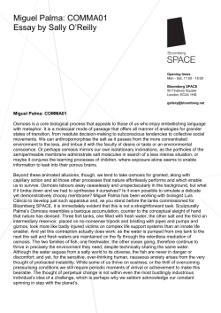 Miguel Palma: COMMA01 Essay by Sally O`Reilly