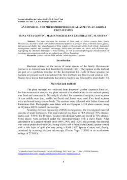 5 anatomical and micromorphological aspects at ardisia