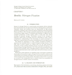 Benthic Nitrogen Fixation - Carnegie Department of Global Ecology