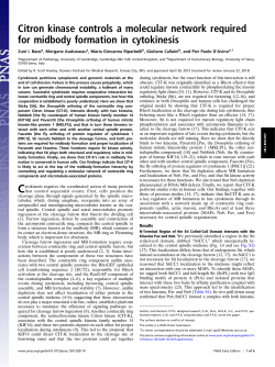 Citron kinase controls a molecular network required for midbody