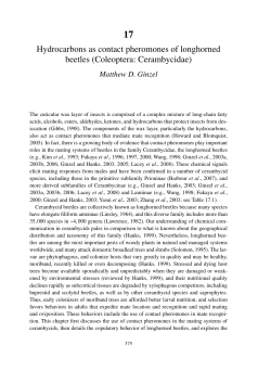 Hydrocarbons as contact pheromones of longhorned beetles