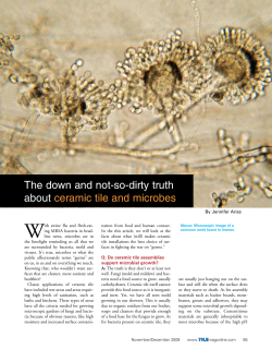 The down and not-so-dirty truth about ceramic tile and microbes