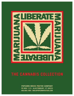 Cannabis Collection Catalog.indd