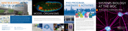 SYSTEMS BIOLOGY AT THE MDC