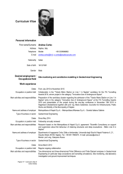 Curriculum Vitae Europass - Societ&agrave; Italiana Gallerie