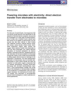 Powering microbes with electricity: direct electron transfer from