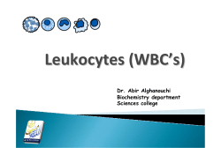 Leukocytes (WBC`s) (Cont&hellip;)