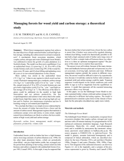 Managing forests for wood yield and carbon storage: a theoretical