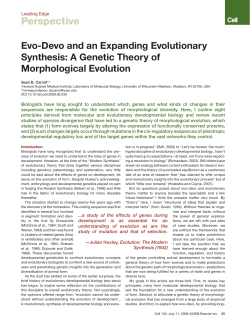 A genetic theory of morphological evolution