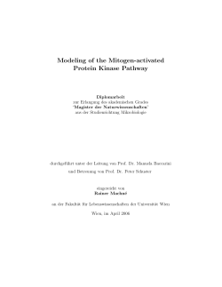 Modeling of the Mitogen-activated Protein Kinase Pathway