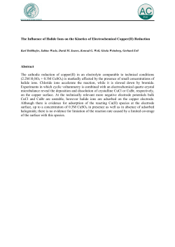 The Influence of Halide Ions on the Kinetics of Electrochemical