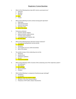 Respiratory System Questions