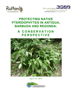 PROTECTING NATIVE PTERIDOPHYTES IN ANTIGUA, BARBUDA