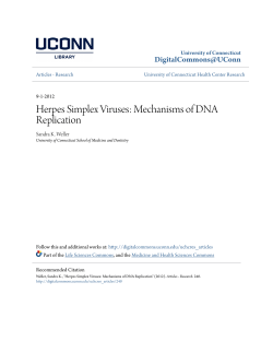 Herpes Simplex Viruses: Mechanisms of DNA Replication