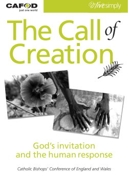 The Call of Creation