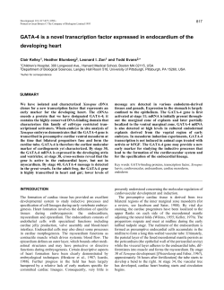 GATA-4 is a novel transcription factor expressed in