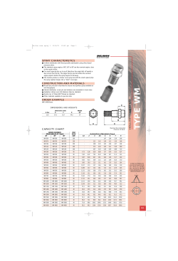 Delavan Spray Technology v2