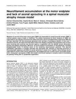 Neurofilament accumulation at the motor endplate and lack of