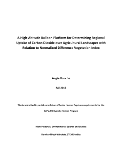 Angie - DePaul University