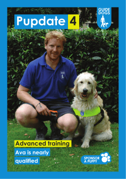 Pupdate 4 - Guide Dogs UK