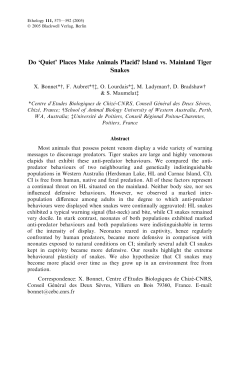 Do `Quiet` Places Make Animals Placid? Island vs. Mainland Tiger