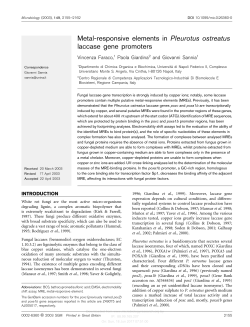 Metal-responsive elements in Pleurotus ostreatus