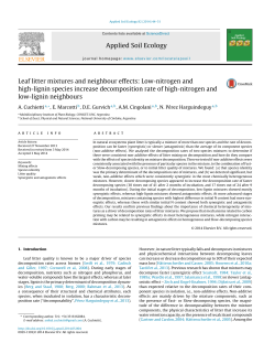Leaf litter mixtures and neighbour effects: Low