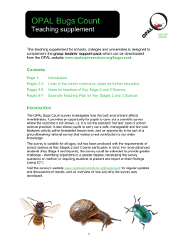 Bugs Count teaching supplement