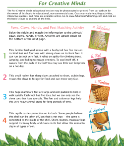 For Creative Minds - Arbordale Publishing