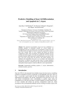 Predictive Modelling of Stem Cell Differentiation and Apoptosis in C