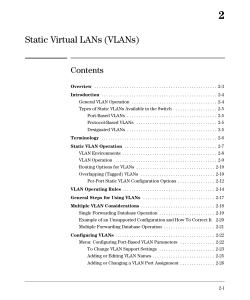Static Virtual LANs (VLANs)