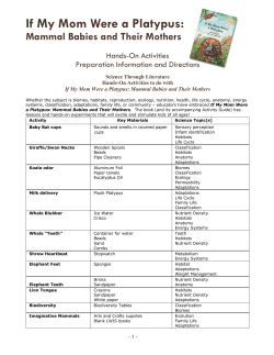 If My Mom Were a Platypus