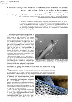 A new and unexpected host for the sharksucker (Echeneis naucrates)