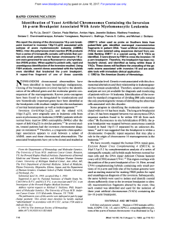 Identification of Yeast Artificial Chromosomes Containing the