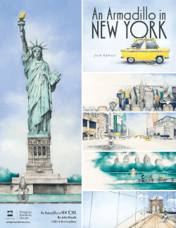 An Armadillo in NEW YORK