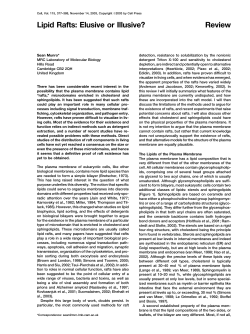 Review Lipid Rafts: Elusive or Illusive?