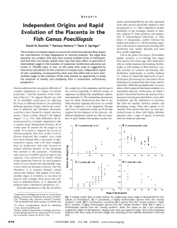 Independent Origins and Rapid Evolution of the