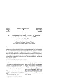 Echolocation, vocal learning, auditory - Clayton