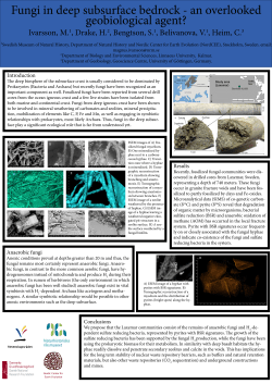 Introduction Results Anaerobic fungi Conclusions