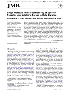 Single Molecule Force Spectroscopy of Spectrin