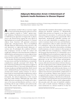 Adipocyte Maturation Arrest: A Determinant of Systemic Insulin