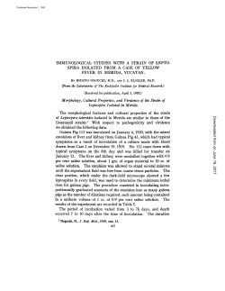 Morphology, Cultural Properties, and Virulence of the Strain of